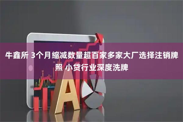 牛鑫所 3个月缩减数量超百家多家大厂选择注销牌照 小贷行业深度洗牌