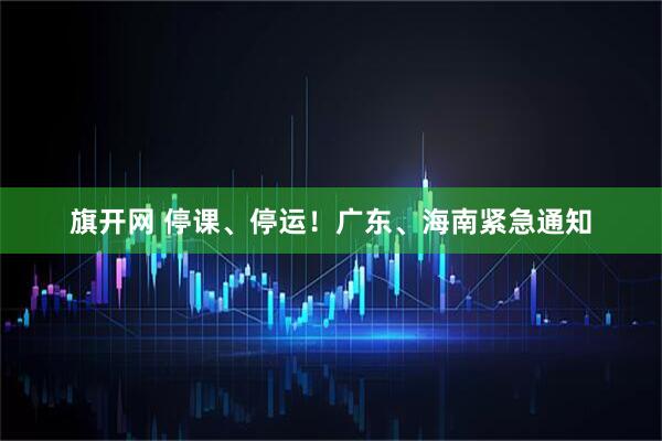 旗开网 停课、停运！广东、海南紧急通知