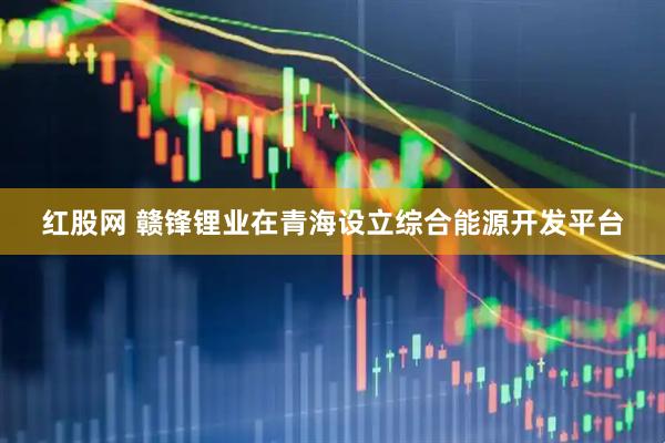 红股网 赣锋锂业在青海设立综合能源开发平台